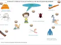 Ilustracja pokazuje sytuacje wywołujące nadwrażliwość sensoryczną: ubieranie, czesanie, obcinanie włosów/paznokci, mycie, dotyk, kot, ubrania.