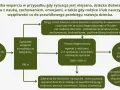 Schemat ścieżki wsparcia dla dzieci z trudnościami. Proces obejmuje zgłoszenie, konsultację, diagnozę psychologiczną, zalecenia i opinię.