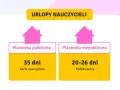 Urlop nauczyciela: 35 dni w placówce publicznej (Karta Nauczyciela) i 20-26 dni w placówce niepublicznej (Kodeks pracy).