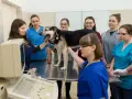Poliklinika UWM Olsztyn: Całodobowa pomoc, gdy liczy się każda chwila