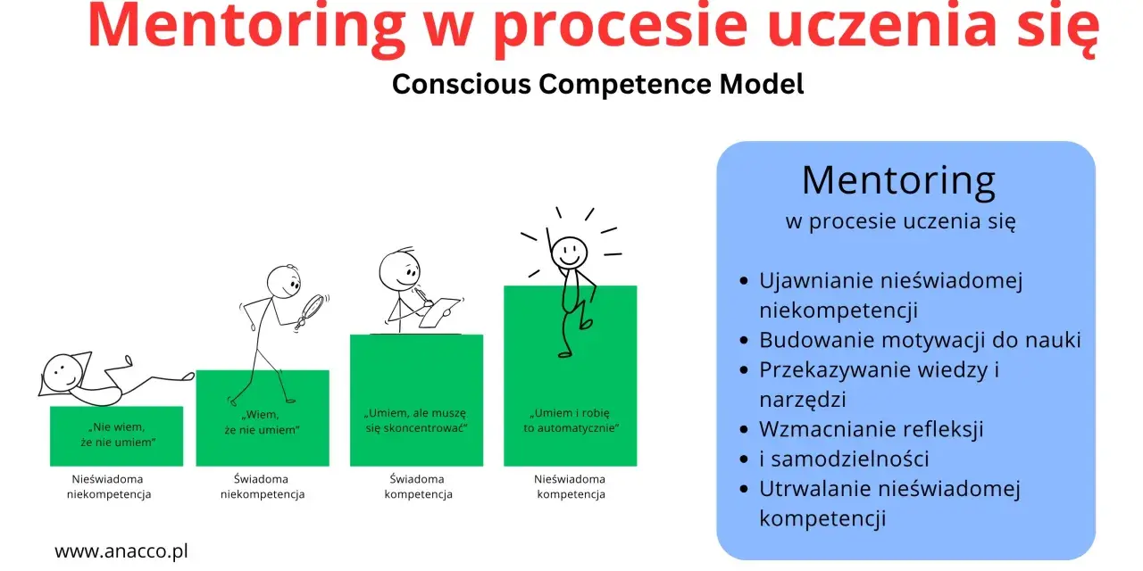 Mentor to ten, kto wspiera rozwój, pokazując etapy uczenia się: od nieświadomości do automatyzmu.