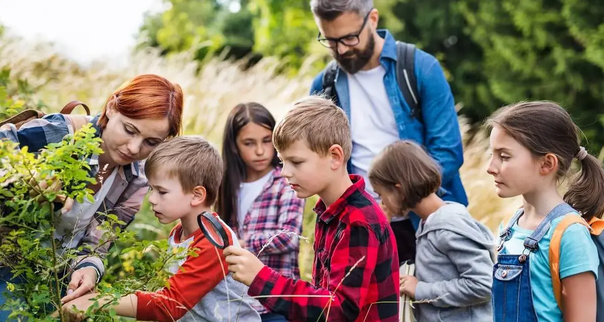 Za co odpowiada wychowawca na kolonii? Bezpieczeństwo i prawo