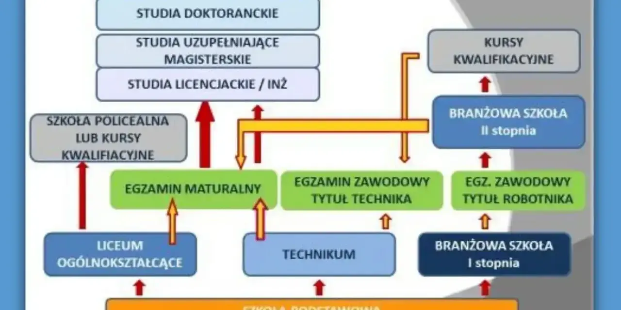 Schemat ścieżek kształcenia po szkole podstawowej. Po ukończeniu szkoły podstawowej można wybrać liceum, technikum lub branżową szkołę I stopnia, która daje wykształcenie średnie zawodowe.