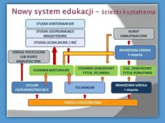Schemat ścieżek kształcenia po szkole podstawowej. Po ukończeniu szkoły podstawowej można wybrać liceum, technikum lub branżową szkołę I stopnia, która daje wykształcenie średnie zawodowe.