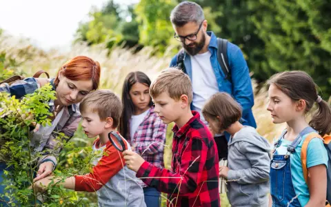 Jak zostać wychowawcą kolonijnym? Kurs, koszty i pewny start.