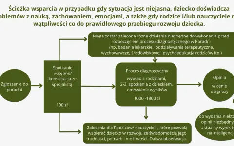 Schemat ścieżki wsparcia dla dzieci z trudnościami. Proces obejmuje zgłoszenie, konsultację, diagnozę psychologiczną, zalecenia i opinię.