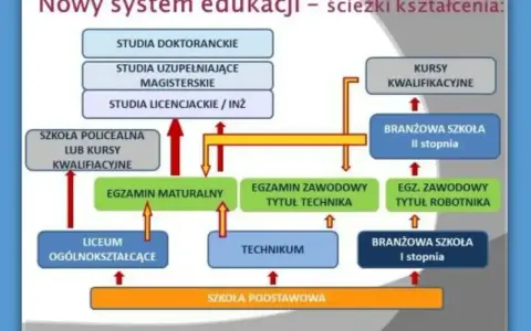 Schemat ścieżek kształcenia po szkole podstawowej. Po ukończeniu szkoły podstawowej można wybrać liceum, technikum lub branżową szkołę I stopnia, która daje wykształcenie średnie zawodowe.