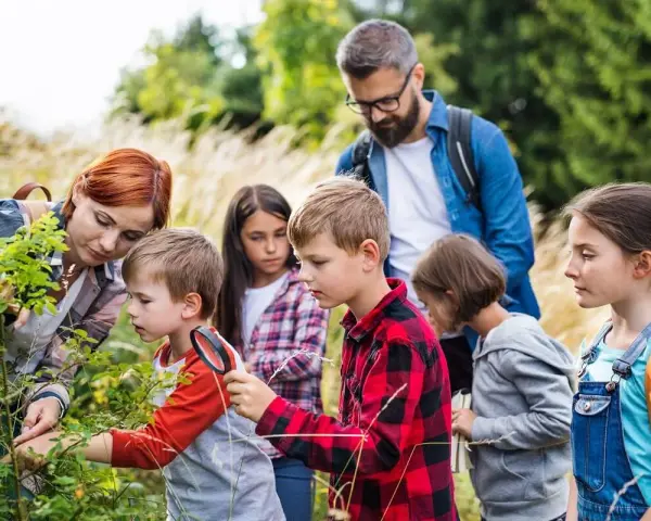 Za co odpowiada wychowawca na kolonii? Bezpieczeństwo i prawo