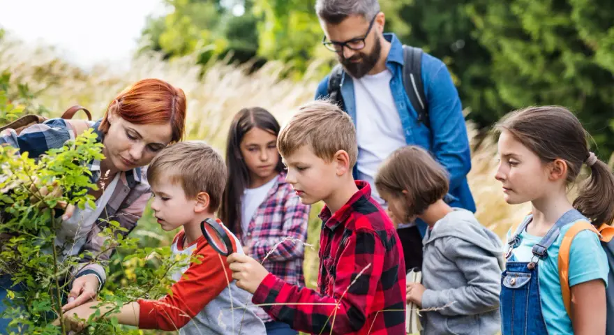 Jak zostać wychowawcą kolonijnym? Kurs, koszty i pewny start.