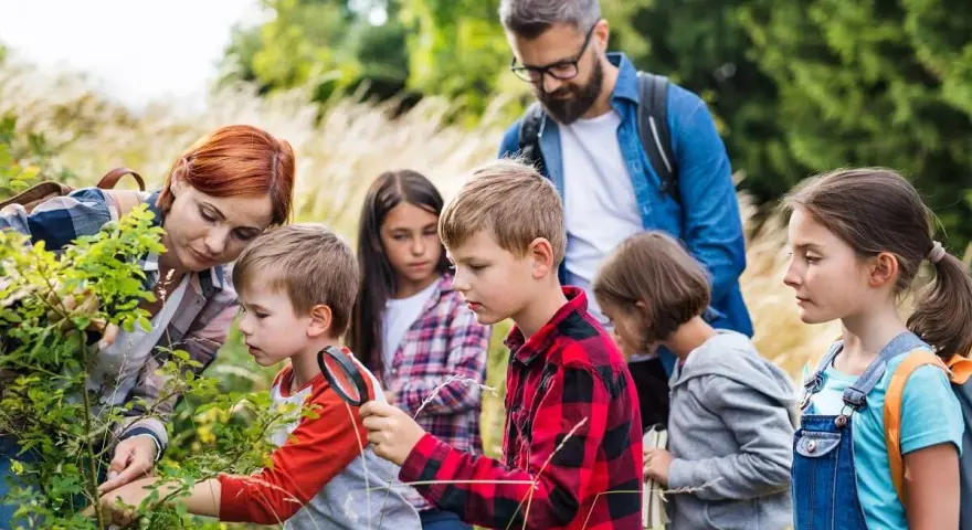 Za co odpowiada wychowawca na kolonii? Bezpieczeństwo i prawo