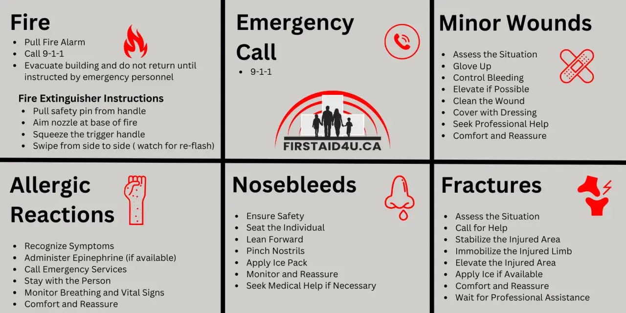 Podręcznik pierwszej pomocy przedmedycznej: instrukcje dotyczące pożaru, reakcji alergicznych, krwotoków z nosa, wezwania pomocy, drobnych ran i złamań.